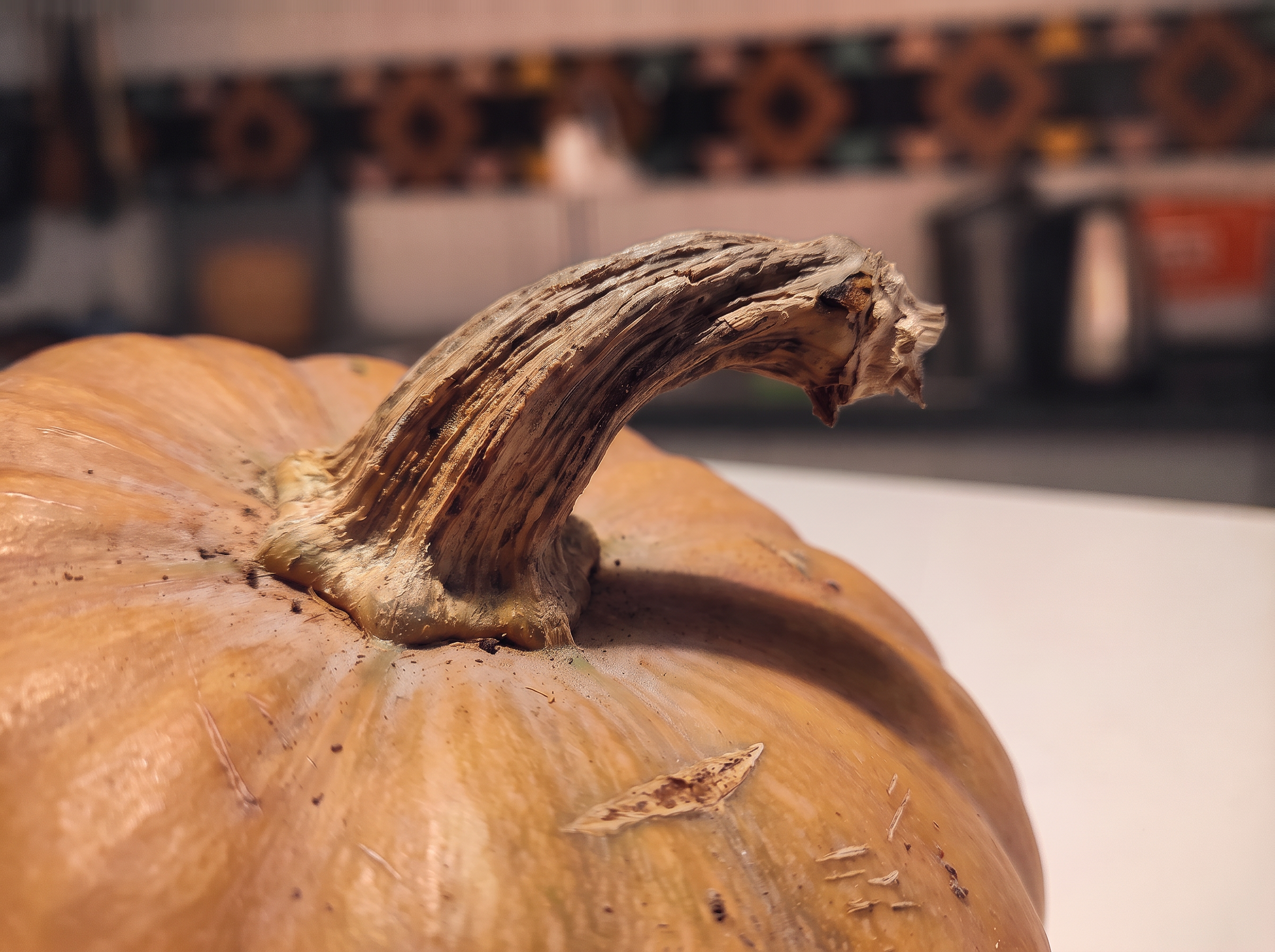 Il picciolo curvo e legnoso di una zucca nella luce calda, con la cucina sfocata sullo sfondo