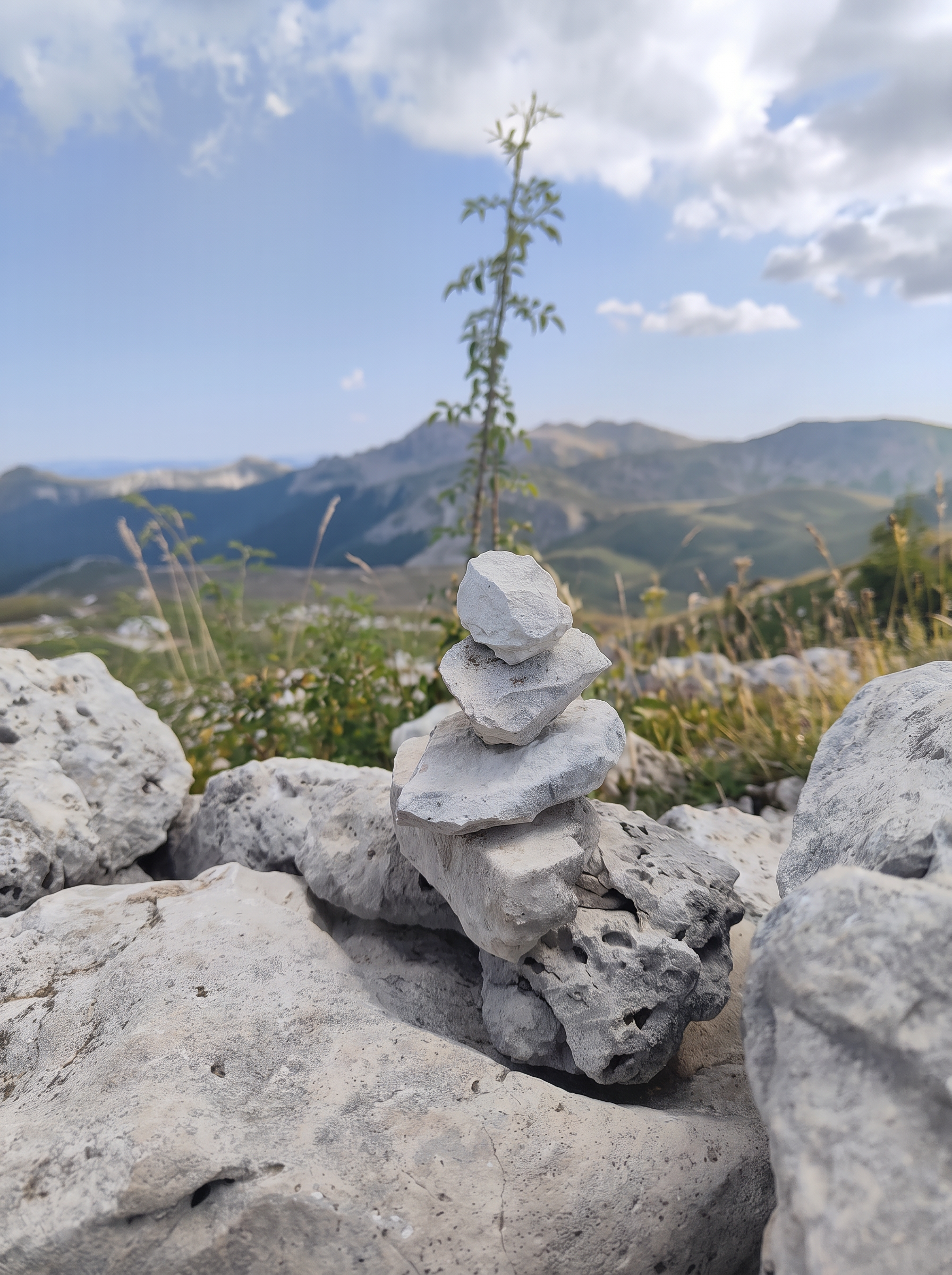 Una piccola torre di pietre in equilibrio, con le montagne sullo sfondo